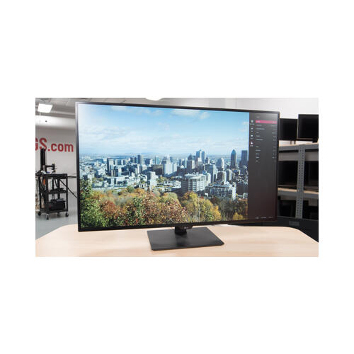 43&quot; LG LCD Monitor