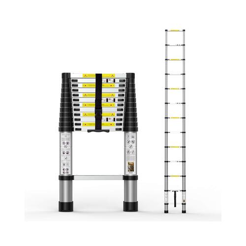 Telescopic Ladder